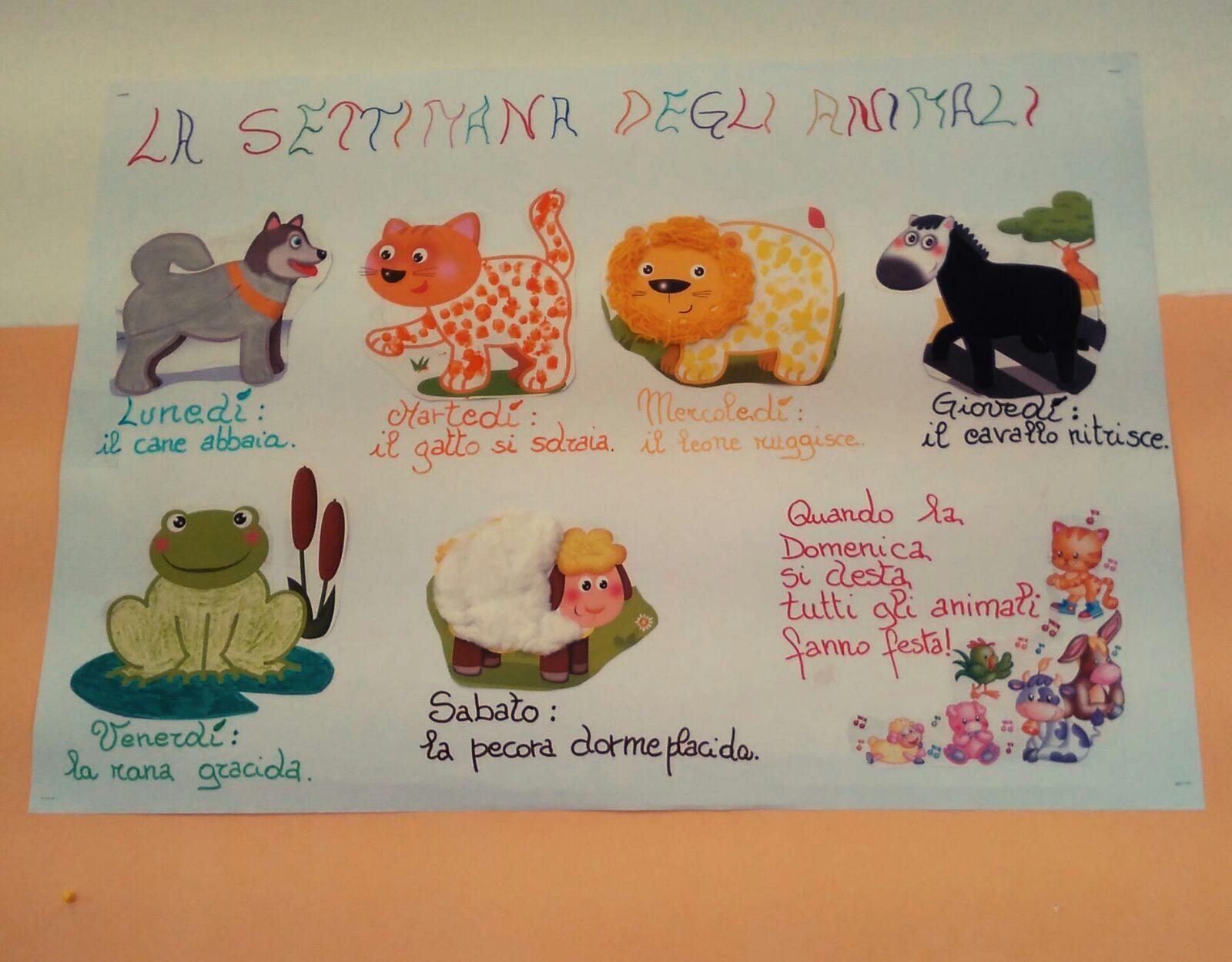 la-settimana-degli-animali